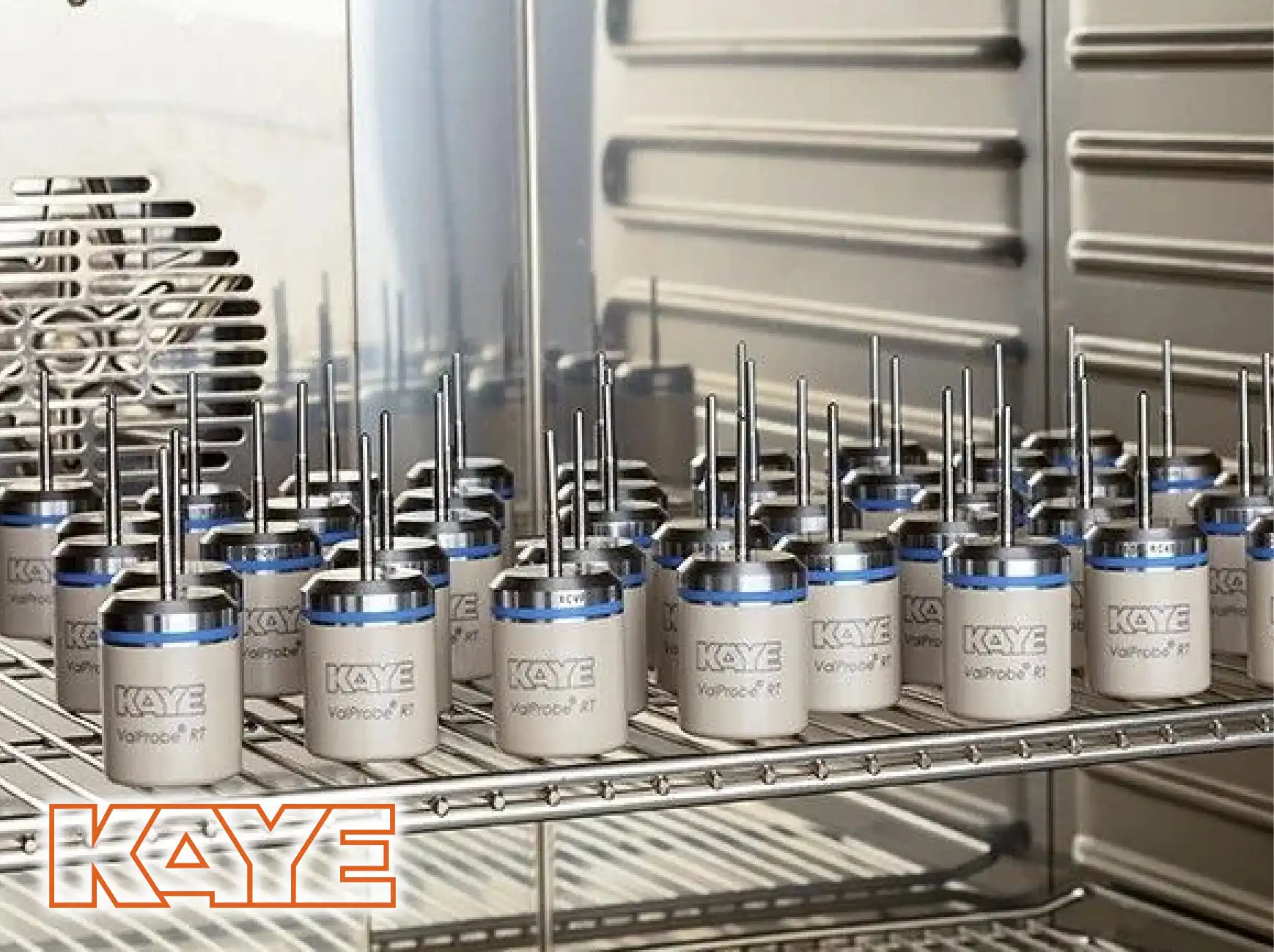 KAYE Wireless (RF) ValProbe RT System.